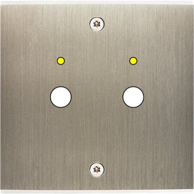  FAC LAITON ACIER S P2L VIS 
