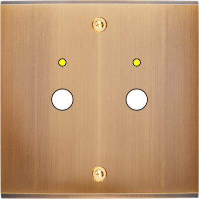  FAC LAITON BRONZE S P2L VIS 