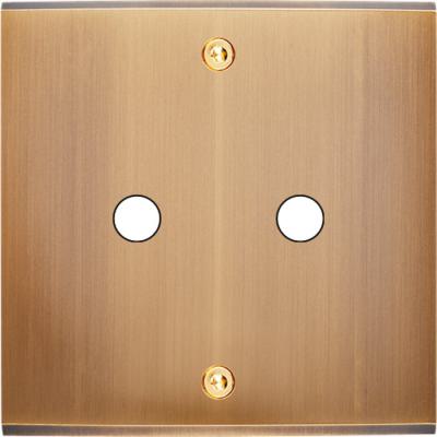  FAC LAITON BRONZE S P2 A VIS 