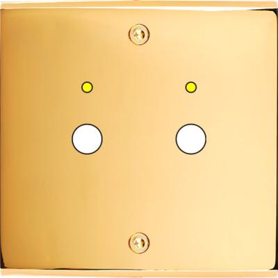  FAC LAITON DORE S P2L VIS 