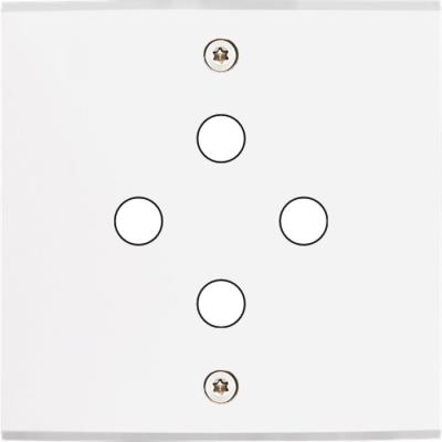  FAC LAITON BLANC S P4 A VIS 