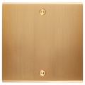  FAC LAITON LAIT-S S P4 A VIS 