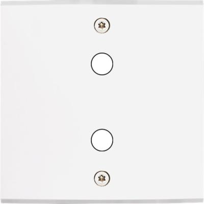  FAC LAITON BLANC S P2X A VIS 