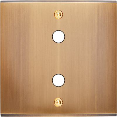  FAC LAITON BRONZE S P2X A VIS 