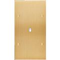  FAC LAITON LAIT-B DV B1 A VIS 