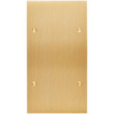  FAC LAITON LAIT-B DV B1 A VIS 