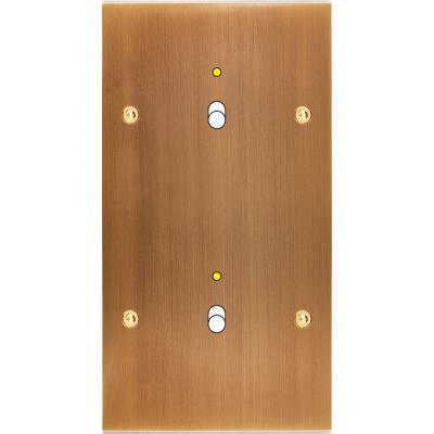  FAC LAIT BRONZE DV B1L B1L VIS 
