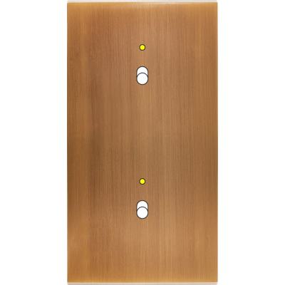  FAC LAITON BRONZE DV B1L B1L M 