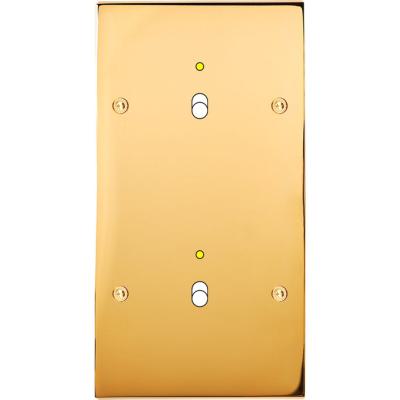  FAC LAITON DORE DV B1L B1L VIS 