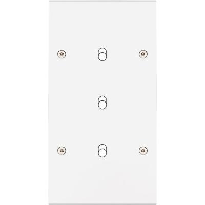  FAC LAITON BLANC DV B3 A VIS 