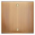  FAC LAITON BRONZE S GUINU VIS 