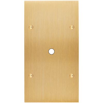  FAC LAITON LAIT-B DV P1 A VIS 