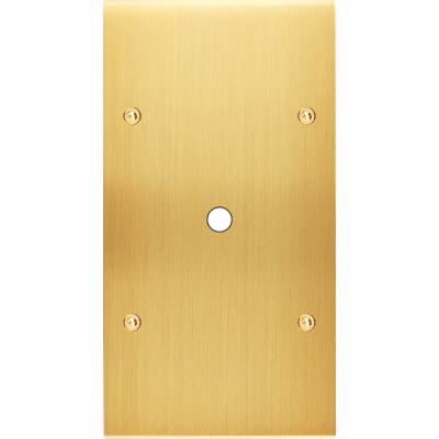  FAC LAITON LAIT-S DV P1 A VIS 