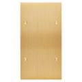  FAC LAITON LAIT-B DV P3 A VIS 