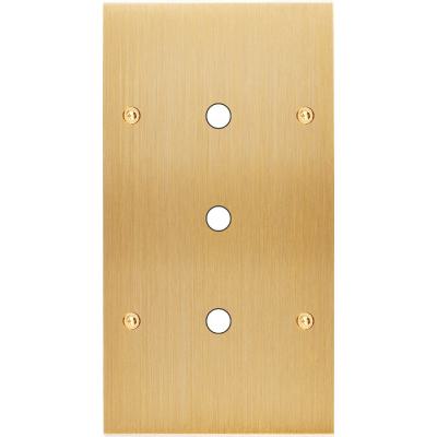  FAC LAITON LAIT-B DV P3 A VIS 