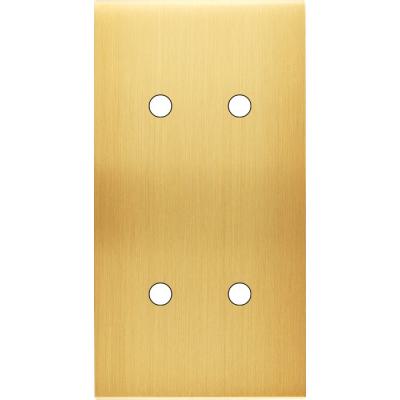  FAC LAITON SAT DV P4 