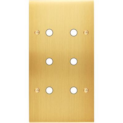  FAC LAITON LAIT-S DV P6 A VIS 