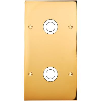 FAC LAITON DORE DV GP2 A VIS 