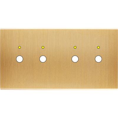  FAC LAITON BROSSE DH P2L P2L M 