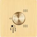  FAC LTM LAIT-B S TH1 MAGNET 