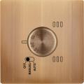  FAC LTM BRONZE S TH1 MAGNET 