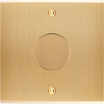  FAC LAITON LAIT-B S V1 A VIS 