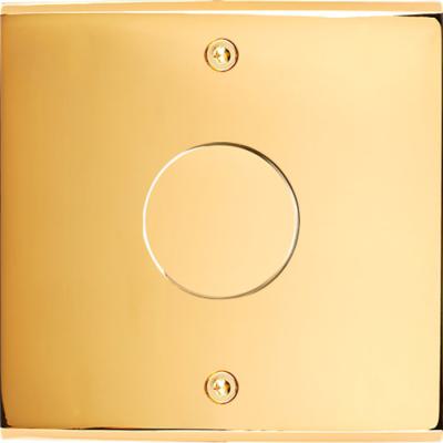  FAC LAITON DORE S V1 A VIS 