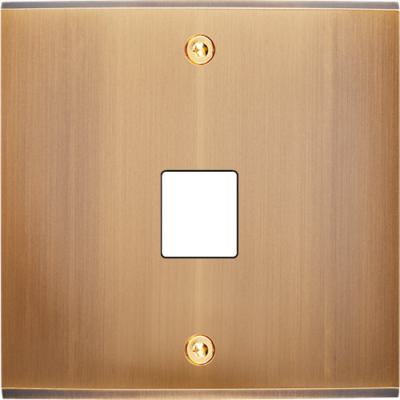  FAC LAITON BRONZE S M1 A VIS 