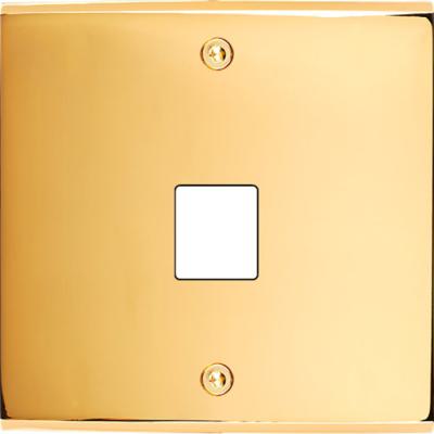  FAC LAITON DORE S M1 A VIS 