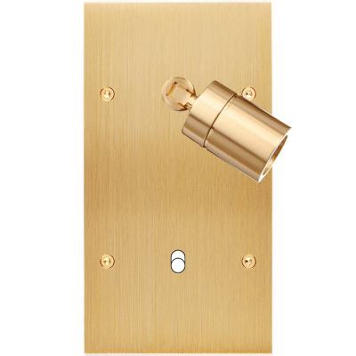  FAC LAITON LAIT-B DV SPOT + B1 