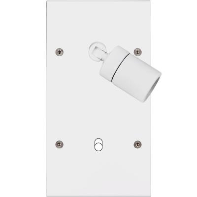  FAC LAITON BLANC DV SPOT + B1 