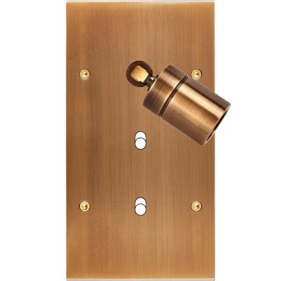  FAC LAIT BRONZ DV SPOT+B1 B1 