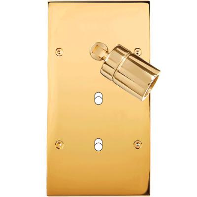  FAC LAIT DORE DV SPOT+B1 B1 