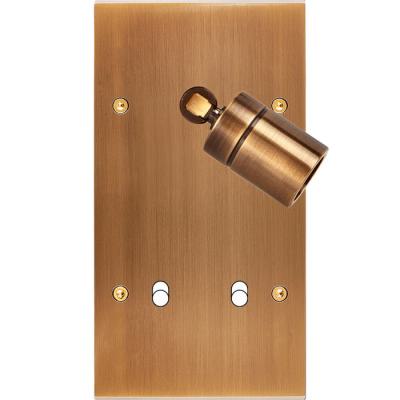  FAC LAITON BRONZE DV SPOT + B2 