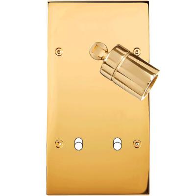  FAC LAITON DORE DV SPOT +B2 