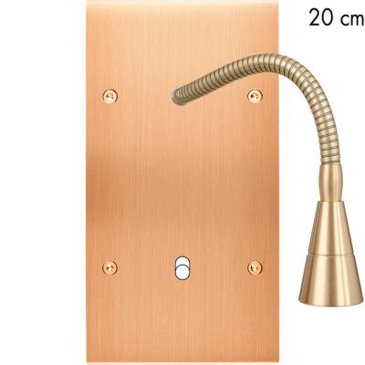  FAC LAIT CUIV SAT DV B1+LIS 20 