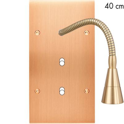  FAC LAIT CUIV SAT DV B2+LIS 40 