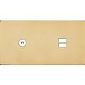  FAC ''M'' LAITON MIROIR DH C1 