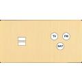  FAC ''M'' LAITON BROSSE DH U1 