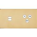  FAC ''M'' LAITON MIROIR DH U1 