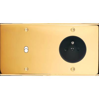  FAC LAITON DORE DH B1 PC A VIS 