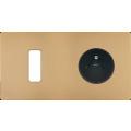  FAC ''M'' LAITON SABLE DH B1 P 