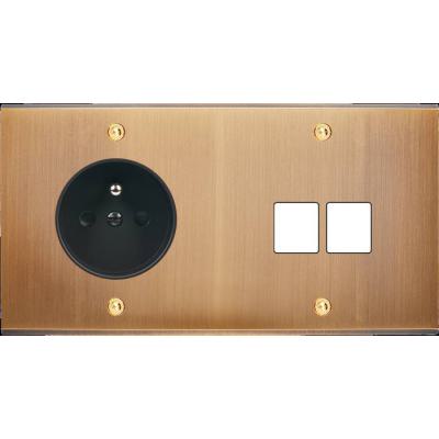  FAC LAITON BRONZE DH PC M2 VIS 