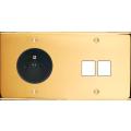  FAC LAITON DORE DH PC M2 A VIS 