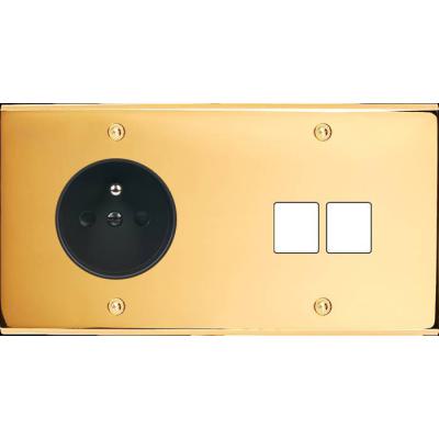  FAC LAITON DORE DH PC M2 A VIS 