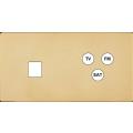  FAC ''M'' LAITON MIROIR DH M1 
