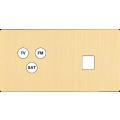  FAC ''M'' LAITON BROSSE DH C3 