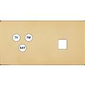  FAC ''M'' LAITON MIROIR DH C3 