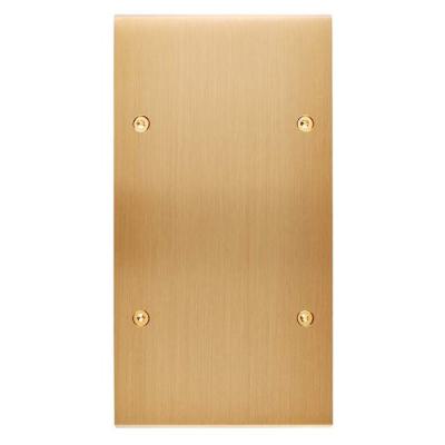  FAC LAITON LAIT-S DV B1 PC VIS 
