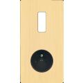  FAC ''M'' LAITON BROSSE DV B1 